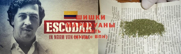 МДПВ Бородино