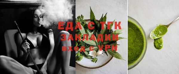 гидра Верхний Тагил