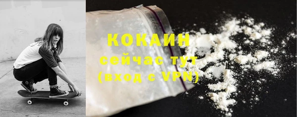 МДПВ Бородино