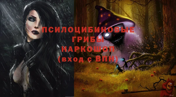 Альфа ПВП Бугульма