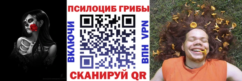 Псилоцибиновые грибы Psilocybe  Купить закладки  Чистополь 