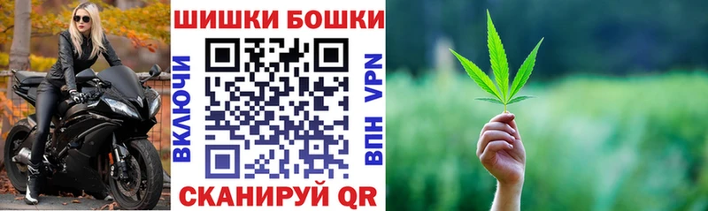 Купить где  Чистополь  Бошки Шишки план 